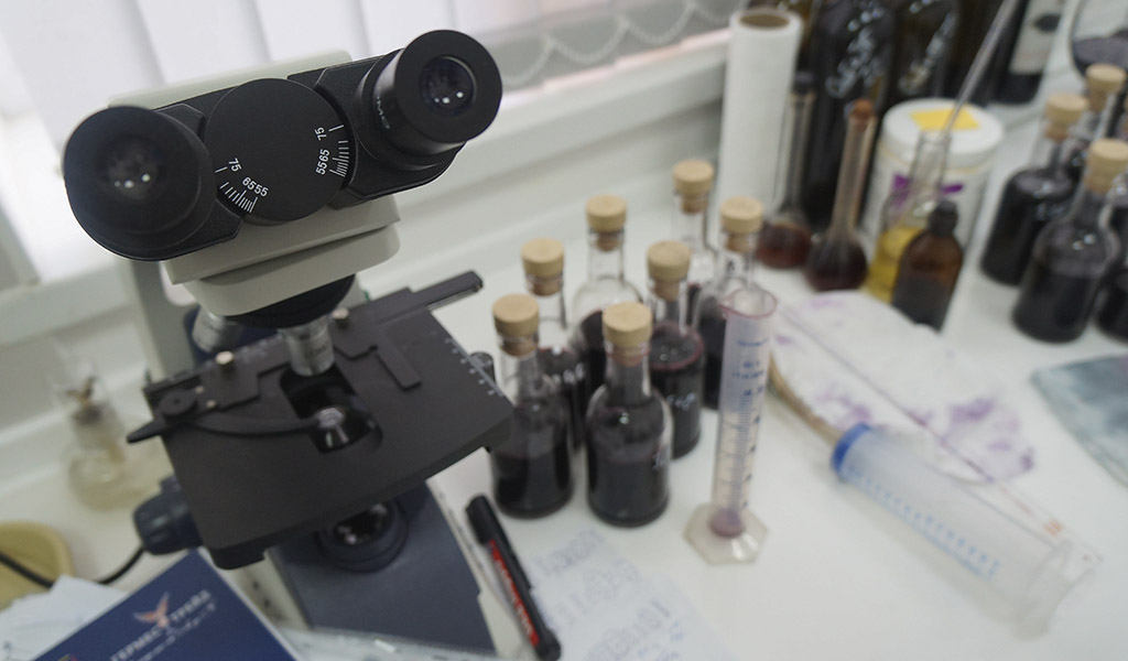 Собер Баш производство вина